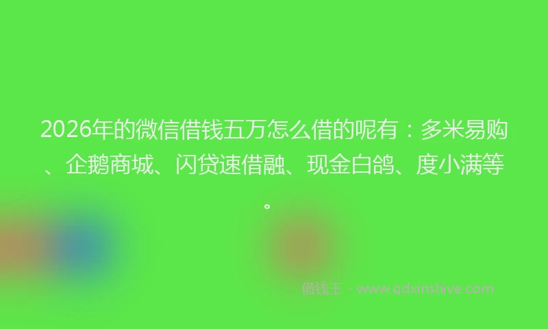 2026年的微信借钱五万怎么借的呢有:多米易购、企鹅商城、闪贷速借融、现金白鸽、度小满等。