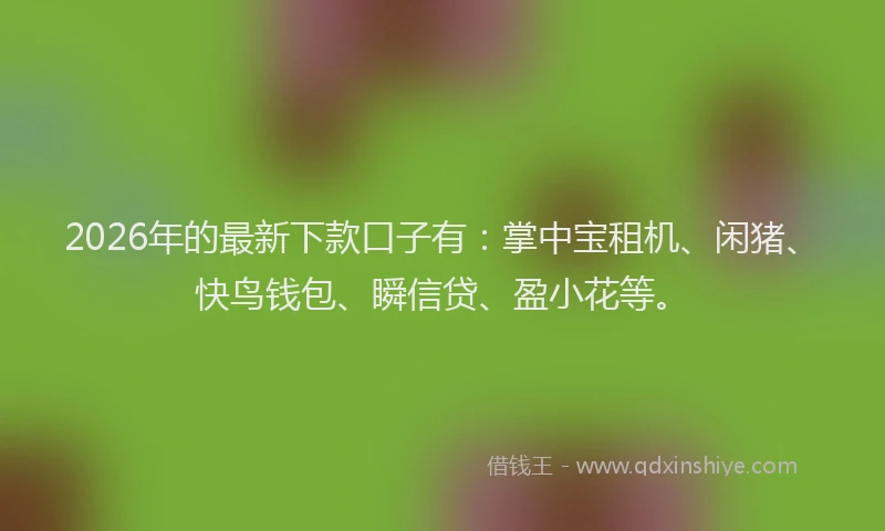 2026年的最新下款口子有：掌中宝租机、闲猪、快鸟钱包、瞬信贷、盈小花等。