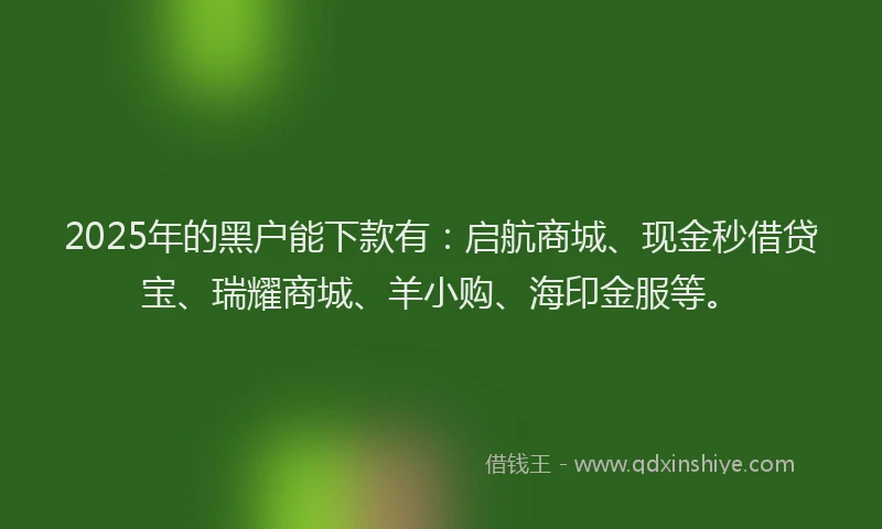 2025年的黑户能下款有：启航商城、现金秒借贷宝、瑞耀商城、羊小购、海印金服等。