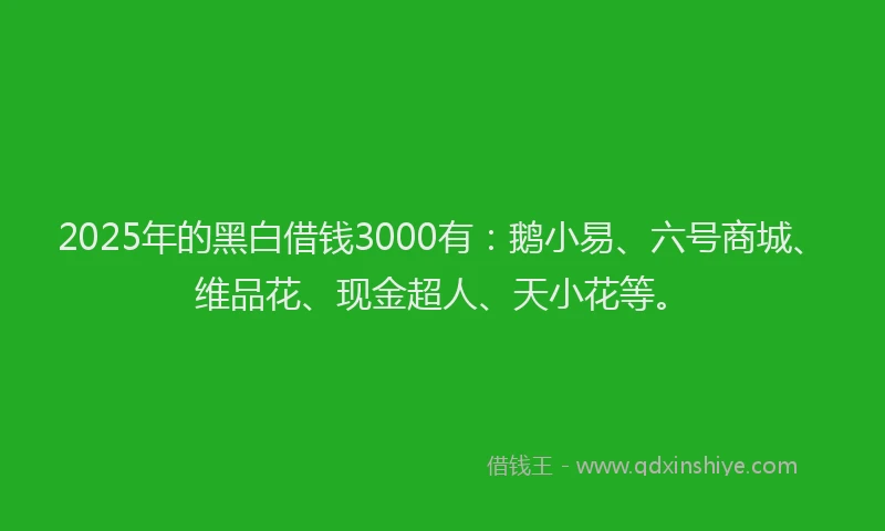 2025年的黑白借钱3000有：鹅小易、六号商城、维品花、现金超人、天小花等。