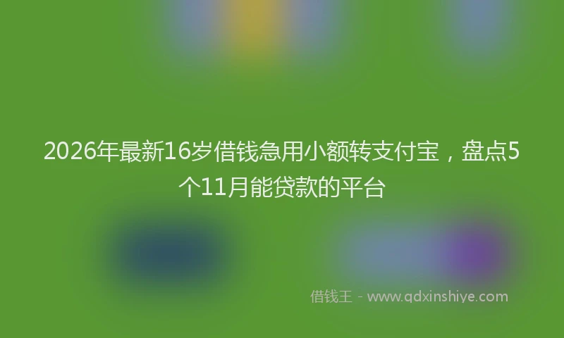 2026年最新16岁借钱急用小额转支付宝,盘点5个11月能贷款的平台