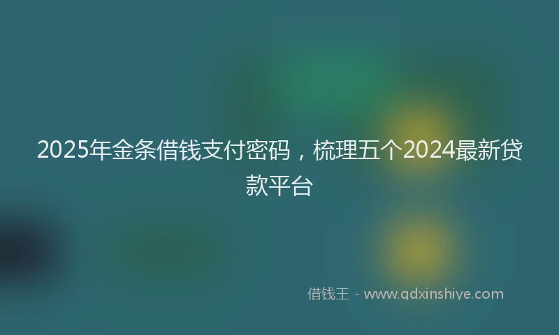 2025年金条借钱支付密码,梳理五个2024最新贷款平台