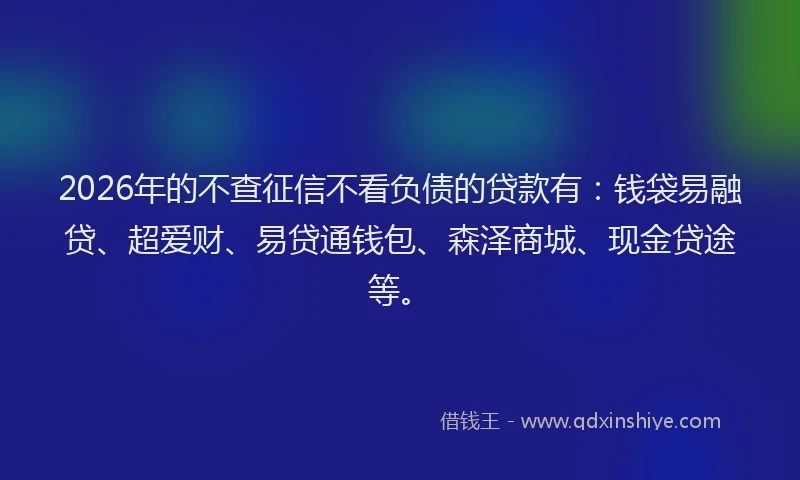 2026年的不查征信不看负债的贷款有:钱袋易融贷、超爱财、易贷通钱包、森泽商城、现金贷途等。