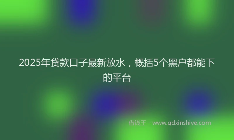 2025年贷款口子最新放水，概括5个黑户都能下的平台