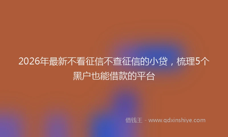 2026年最新不看征信不查征信的小贷,梳理5个黑户也能借款的平台