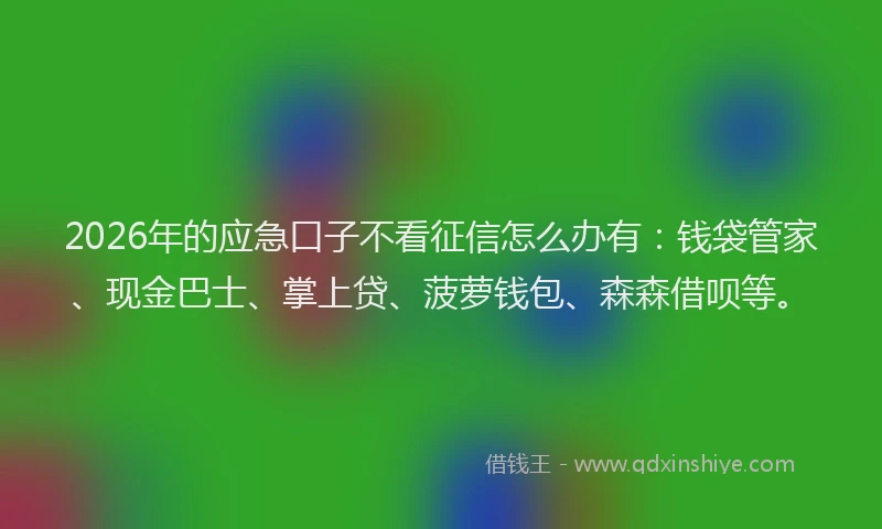 2026年的应急口子不看征信怎么办有:钱袋管家、现金巴士、掌上贷、菠萝钱包、森森借呗等。