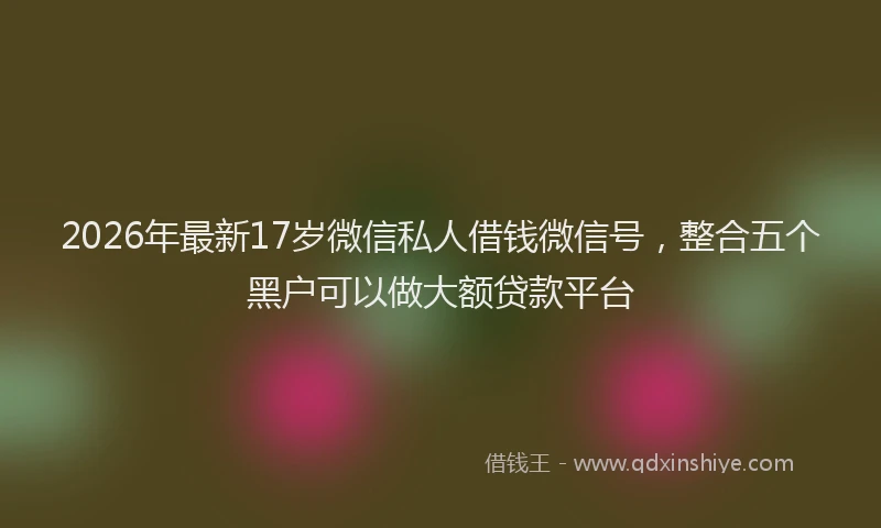 2026年最新17岁微信私人借钱微信号，整合五个黑户可以做大额贷款平台