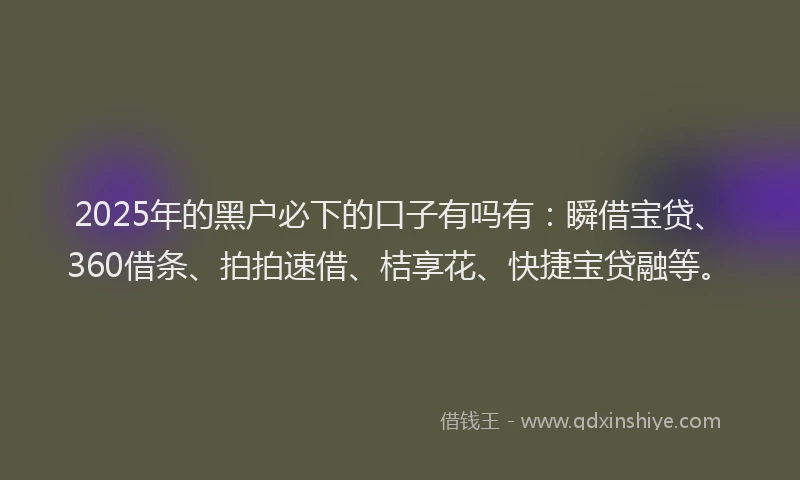 2025年的黑户必下的口子有吗有：瞬借宝贷、360借条、拍拍速借、桔享花、快捷宝贷融等。