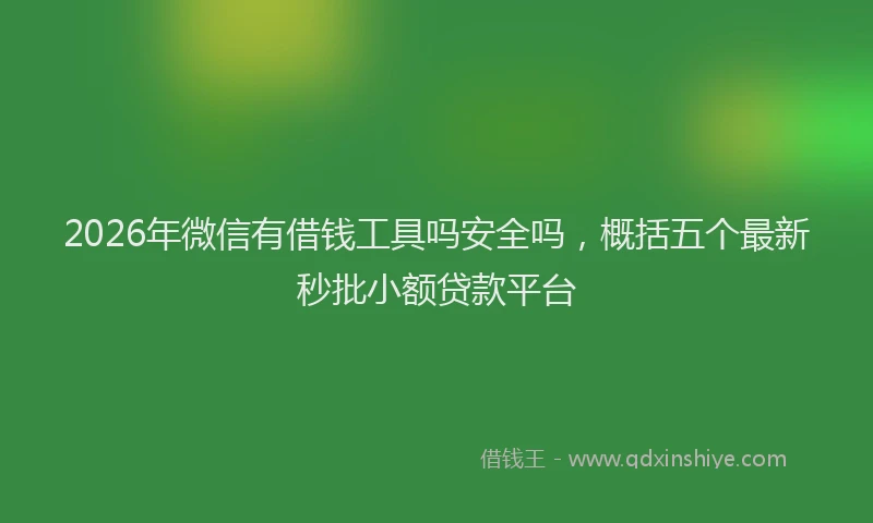 2026年微信有借钱工具吗安全吗，概括五个最新秒批小额贷款平台