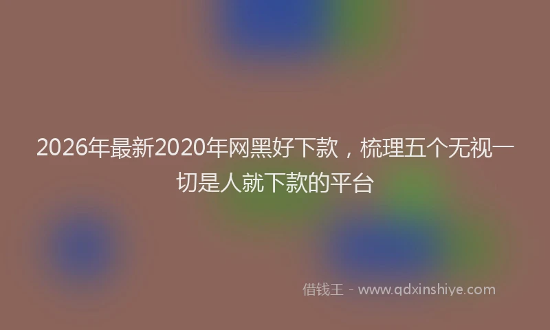 2026年最新2020年网黑好下款，梳理五个无视一切是人就下款的平台