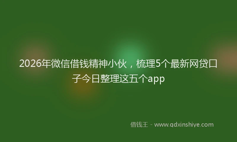 2026年微信借钱精神小伙,梳理5个最新网贷口子今日整理这五个app