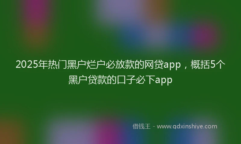 2025年热门黑户烂户必放款的网贷app,概括5个黑户贷款的口子必下app