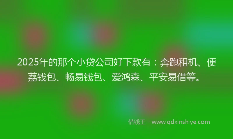 2025年的那个小贷公司好下款有：奔跑租机、便荔钱包、畅易钱包、爱鸿森、平安易借等。