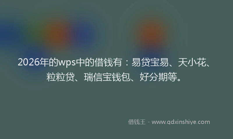 2026年的wps中的借钱有：易贷宝易、天小花、粒粒贷、瑞信宝钱包、好分期等。