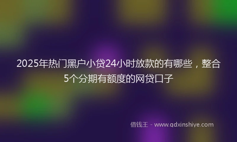 2025年热门黑户小贷24小时放款的有哪些，整合5个分期有额度的网贷口子