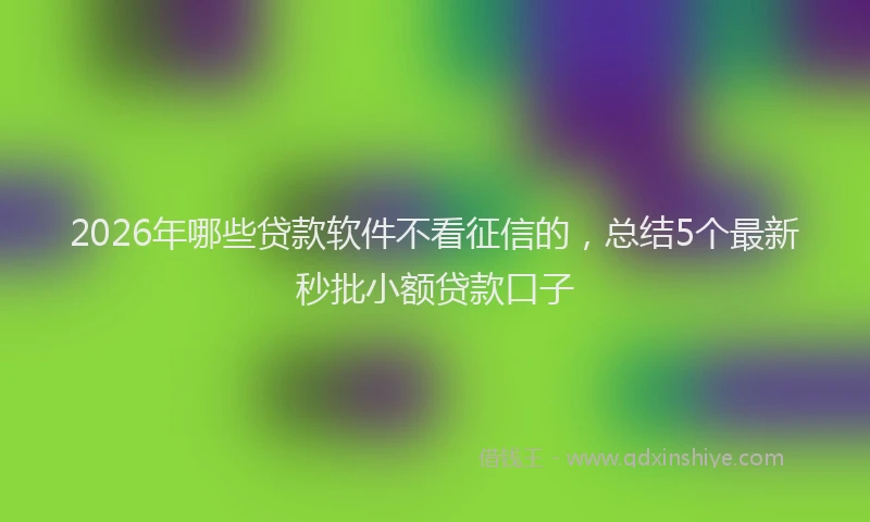 2026年哪些贷款软件不看征信的,总结5个最新秒批小额贷款口子