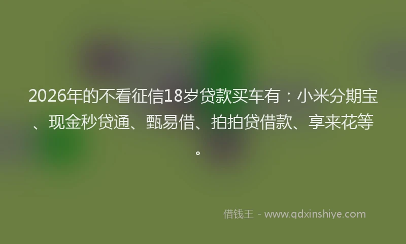 2026年的不看征信18岁贷款买车有：小米分期宝、现金秒贷通、甄易借、拍拍贷借款、享来花等。