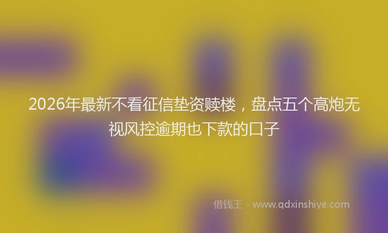 2026年最新不看征信垫资赎楼，盘点五个高炮无视风控逾期也下款的口子