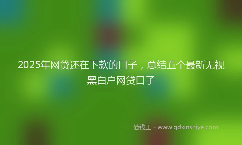 2025年网贷还在下款的口子，总结五个最新无视黑白户网贷口子