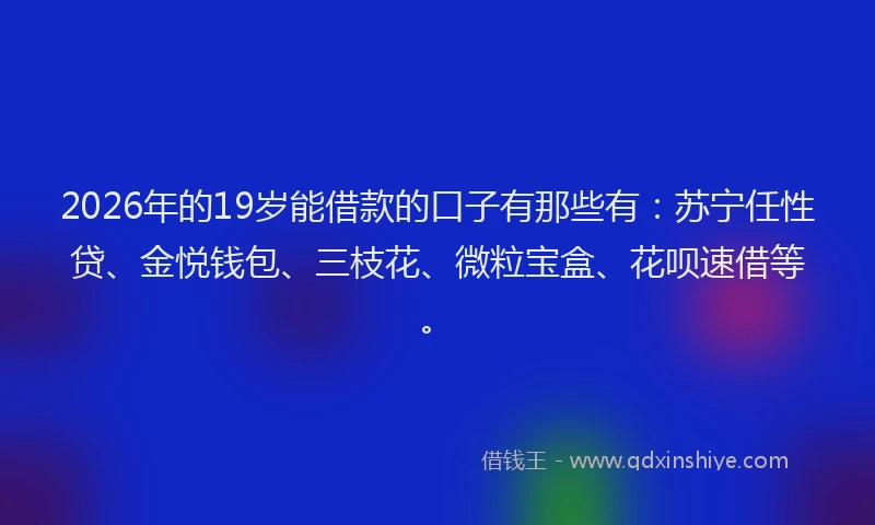2026年的19岁能借款的口子有那些有:苏宁任性贷、金悦钱包、三枝花、微粒宝盒、花呗速借等。