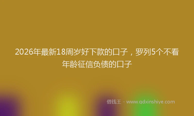 2026年最新18周岁好下款的口子,罗列5个不看年龄征信负债的口子