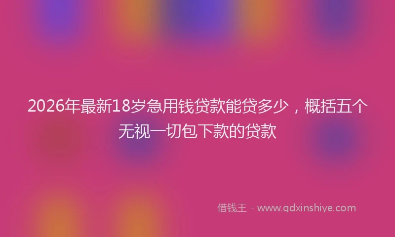2026年最新18岁急用钱贷款能贷多少，概括五个无视一切包下款的贷款