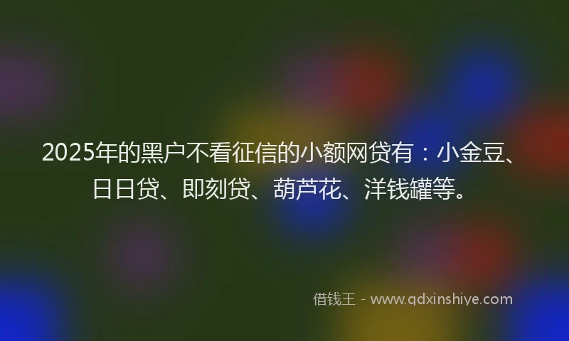 2025年的黑户不看征信的小额网贷有：小金豆、日日贷、即刻贷、葫芦花、洋钱罐等。
