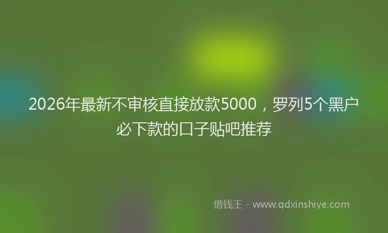 2026年最新不审核直接放款5000，罗列5个黑户必下款的口子贴吧推荐