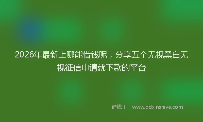 2026年最新上哪能借钱呢，分享五个无视黑白无视征信申请就下款的平台