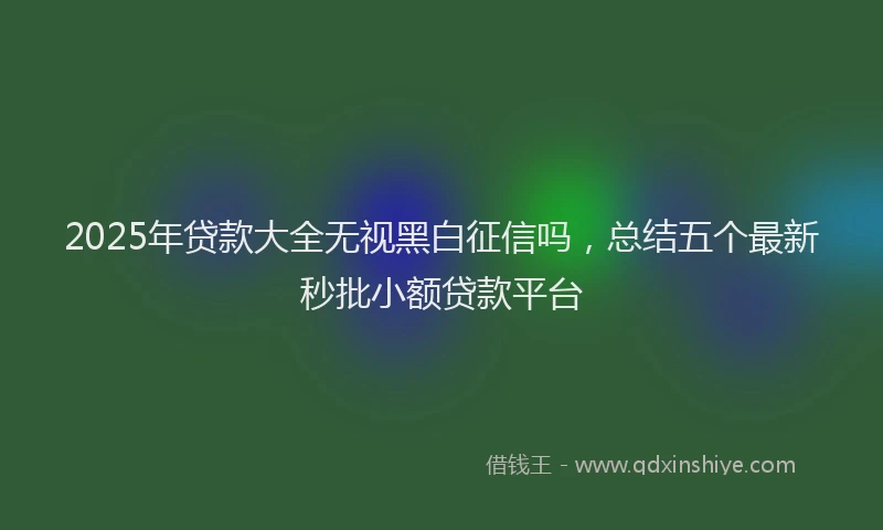 2025年贷款大全无视黑白征信吗，总结五个最新秒批小额贷款平台