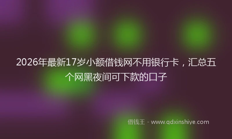 2026年最新17岁小额借钱网不用银行卡，汇总五个网黑夜间可下款的口子