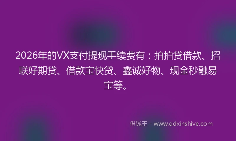 2026年的VX支付提现手续费有：拍拍贷借款、招联好期贷、借款宝快贷、鑫诚好物、现金秒融易宝等。