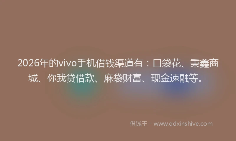 2026年的vivo手机借钱渠道有：口袋花、秉鑫商城、你我贷借款、麻袋财富、现金速融等。