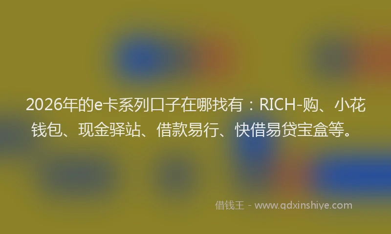 2026年的e卡系列口子在哪找有:RICH-购、小花钱包、现金驿站、借款易行、快借易贷宝盒等。