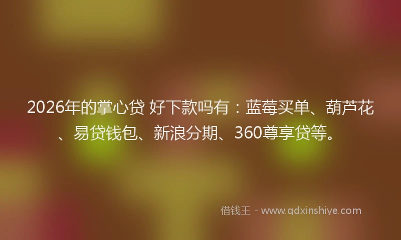 2026年的掌心贷 好下款吗有：蓝莓买单、葫芦花、易贷钱包、新浪分期、360尊享贷等。