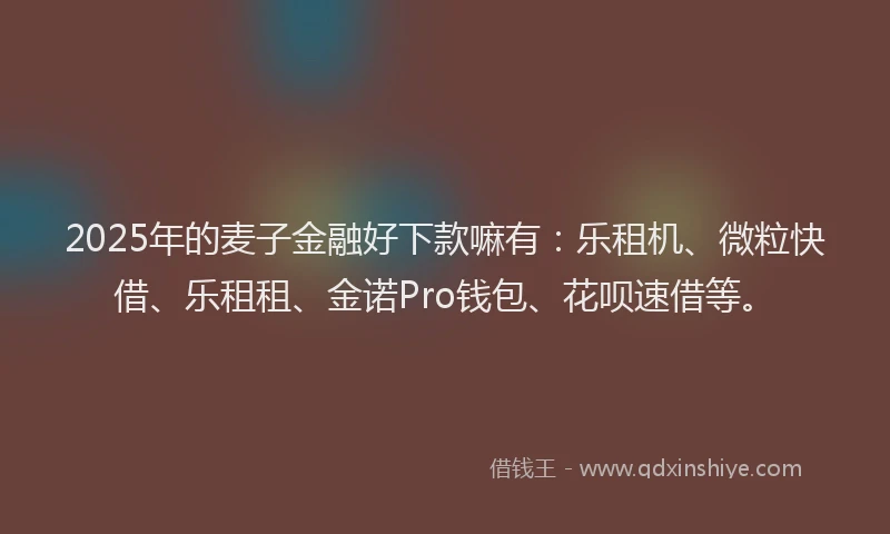 2025年的麦子金融好下款嘛有:乐租机、微粒快借、乐租租、金诺Pro钱包、花呗速借等。