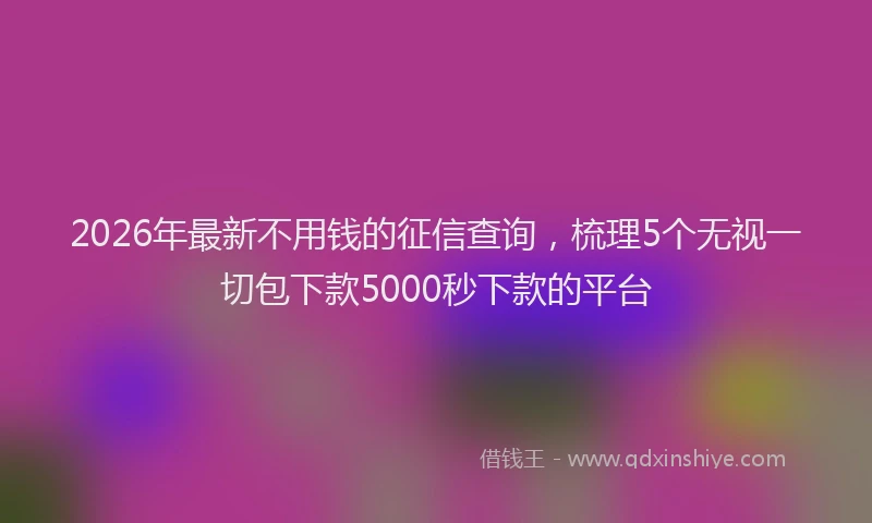 2026年最新不用钱的征信查询，梳理5个无视一切包下款5000秒下款的平台