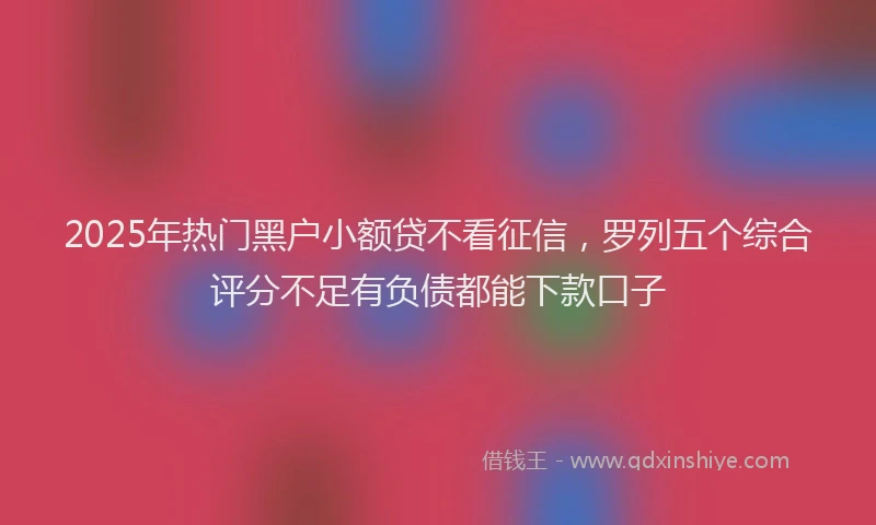 2025年热门黑户小额贷不看征信,罗列五个综合评分不足有负债都能下款口子