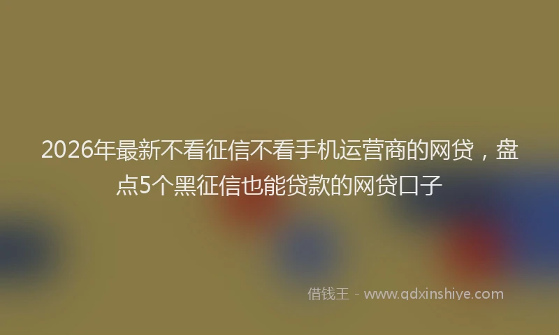 2026年最新不看征信不看手机运营商的网贷,盘点5个黑征信也能贷款的网贷口子