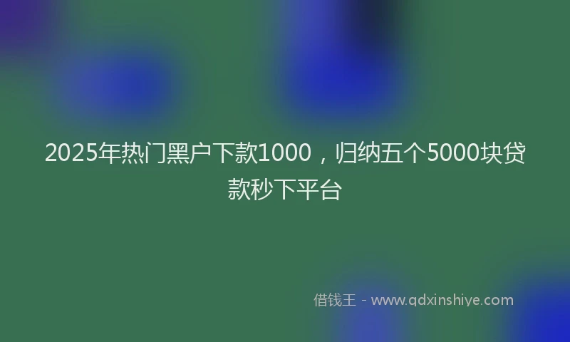 2025年热门黑户下款1000，归纳五个5000块贷款秒下平台