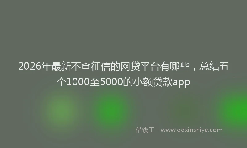 2026年最新不查征信的网贷平台有哪些，总结五个1000至5000的小额贷款app