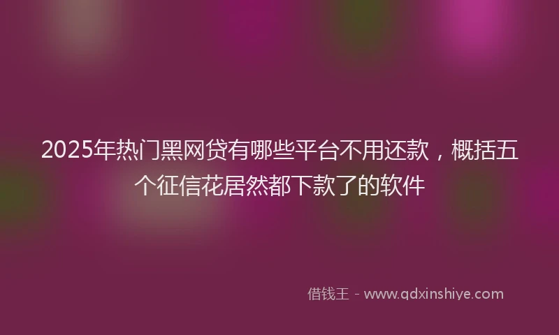 2025年热门黑网贷有哪些平台不用还款，概括五个征信花居然都下款了的软件