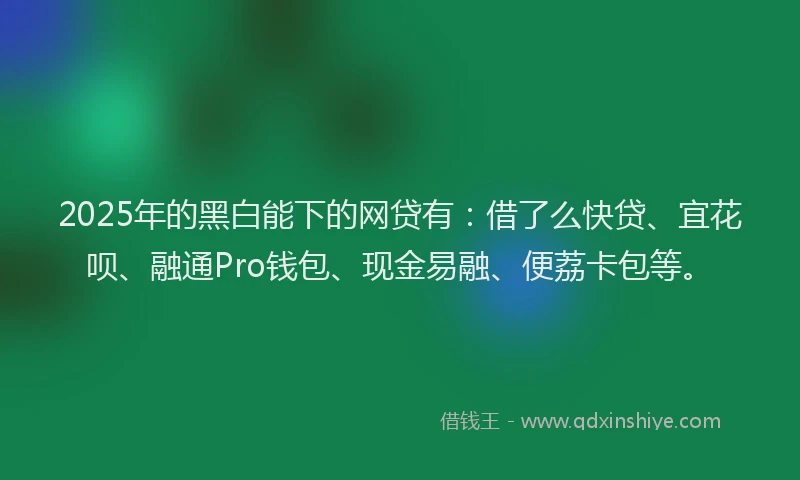 2025年的黑白能下的网贷有：借了么快贷、宜花呗、融通Pro钱包、现金易融、便荔卡包等。