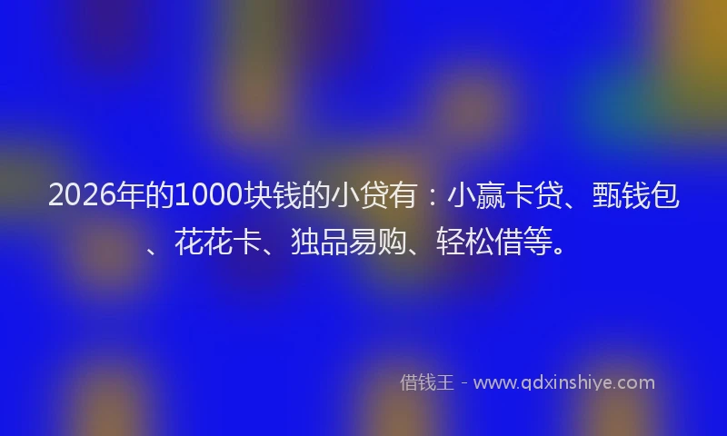2026年的1000块钱的小贷有：小赢卡贷、甄钱包、花花卡、独品易购、轻松借等。
