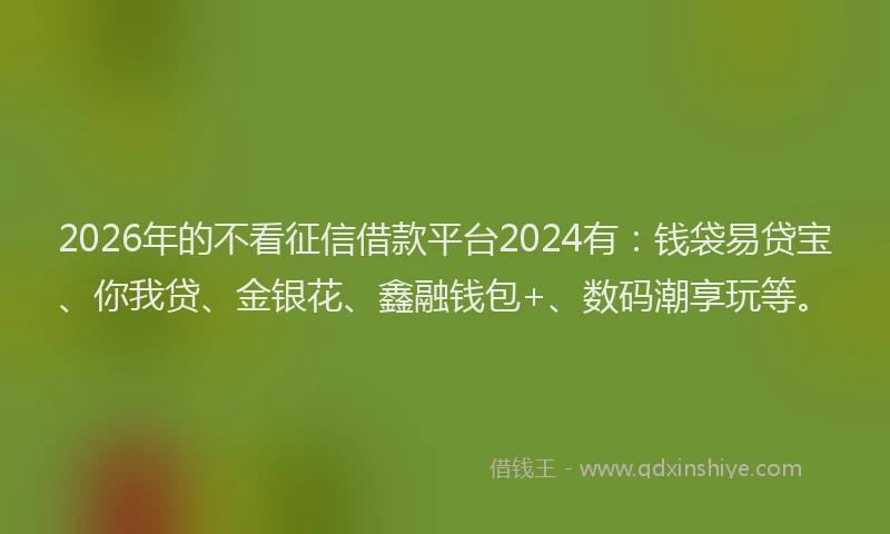2026年的不看征信借款平台2024有：钱袋易贷宝、你我贷、金银花、鑫融钱包+、数码潮享玩等。