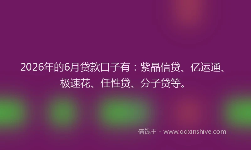 2026年的6月贷款口子有：紫晶信贷、亿运通、极速花、任性贷、分子贷等。
