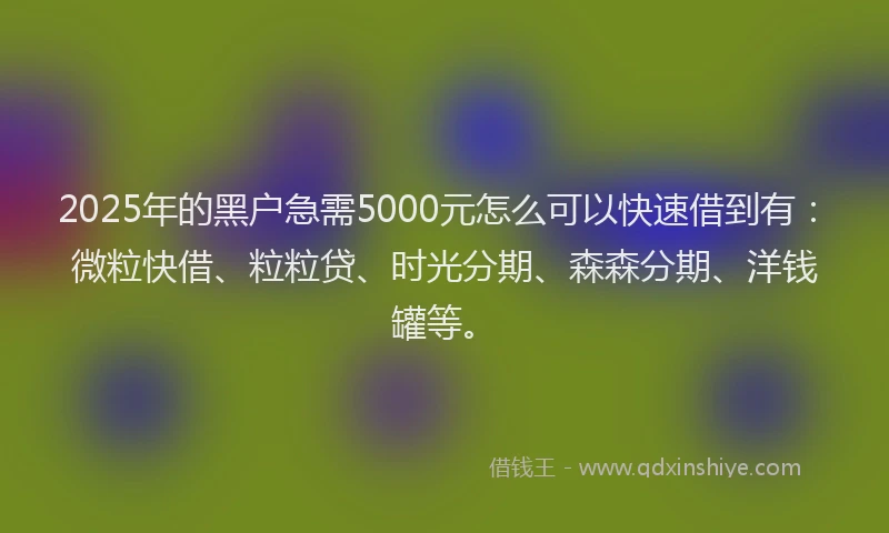 2025年的黑户急需5000元怎么可以快速借到有：微粒快借、粒粒贷、时光分期、森森分期、洋钱罐等。