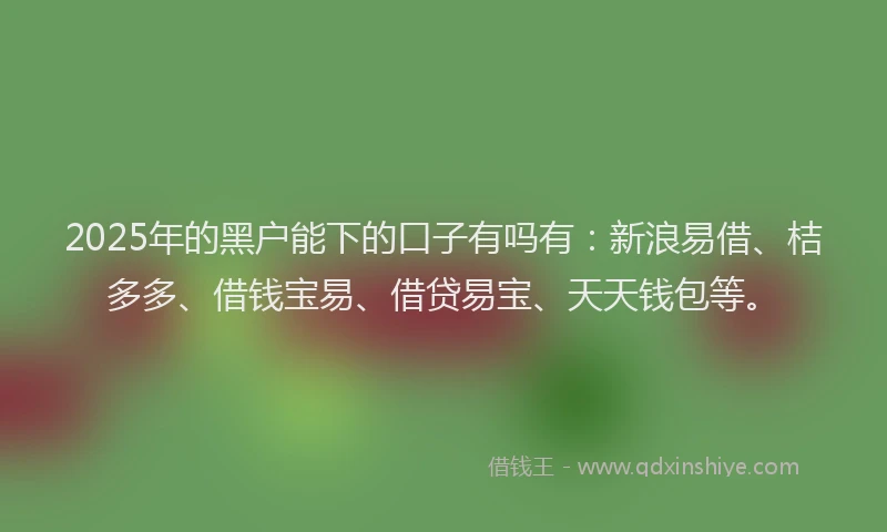 2025年的黑户能下的口子有吗有：新浪易借、桔多多、借钱宝易、借贷易宝、天天钱包等。