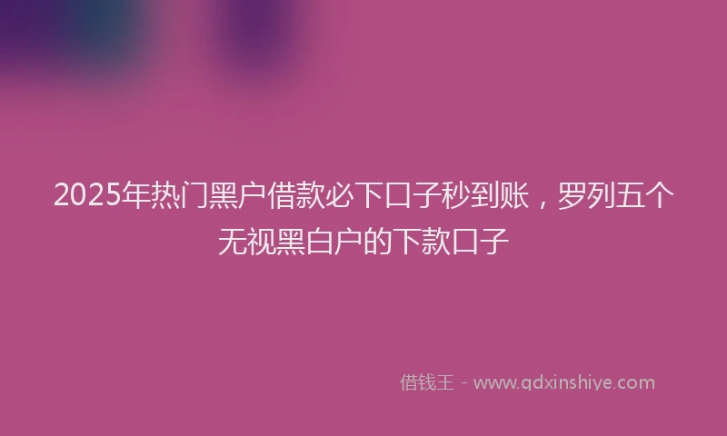2025年热门黑户借款必下口子秒到账，罗列五个无视黑白户的下款口子