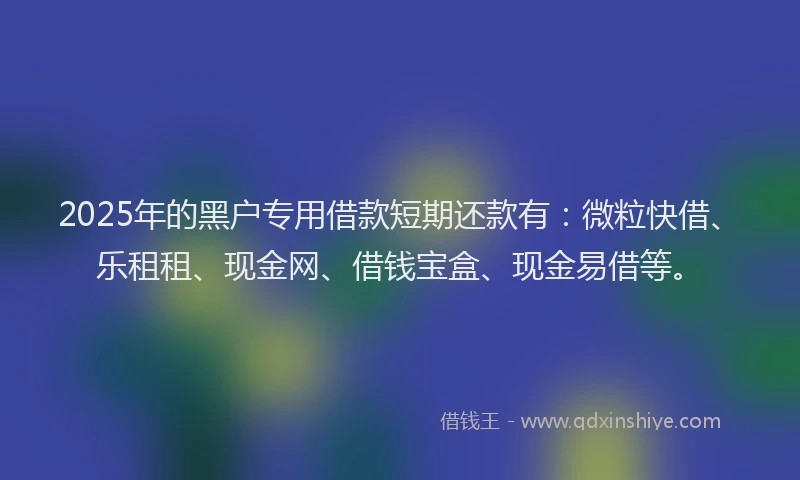 2025年的黑户专用借款短期还款有：微粒快借、乐租租、现金网、借钱宝盒、现金易借等。